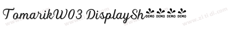 TomarikW03 DisplaySh字体转换